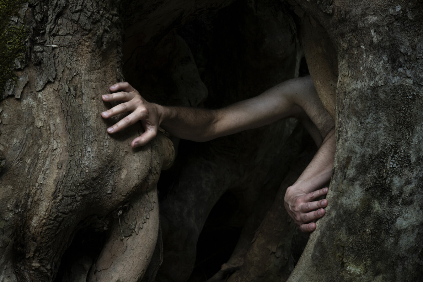 Disthanees (dead twice)