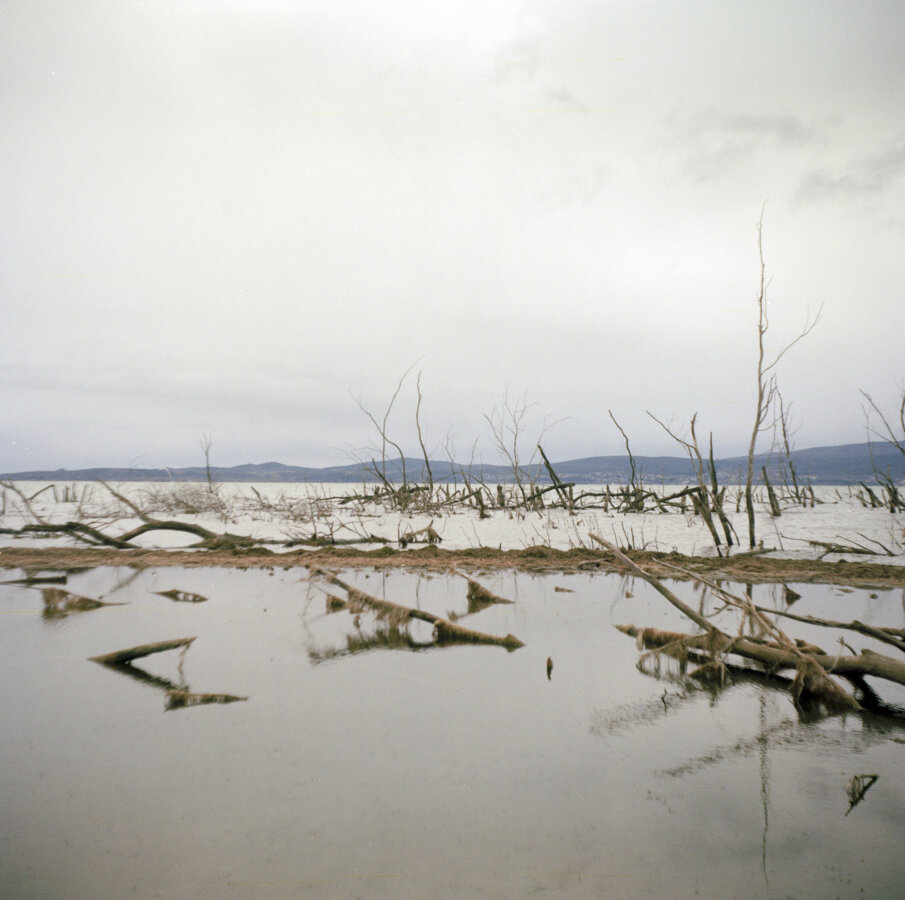 Disthanees (dead twice)