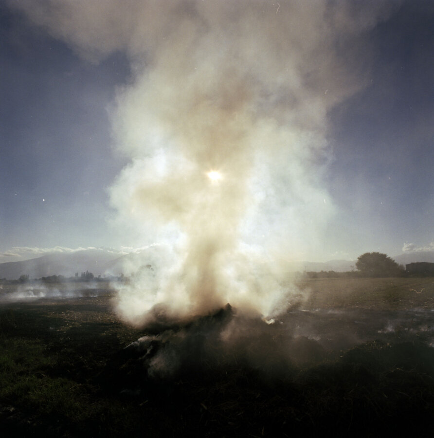 Disthanees (dead twice)