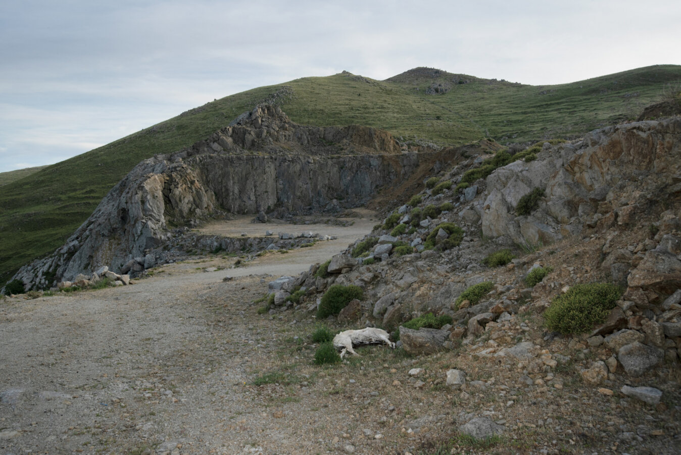 Disthanees (dead twice)