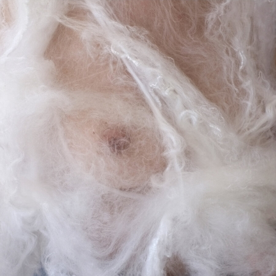 Disthanees (dead twice)