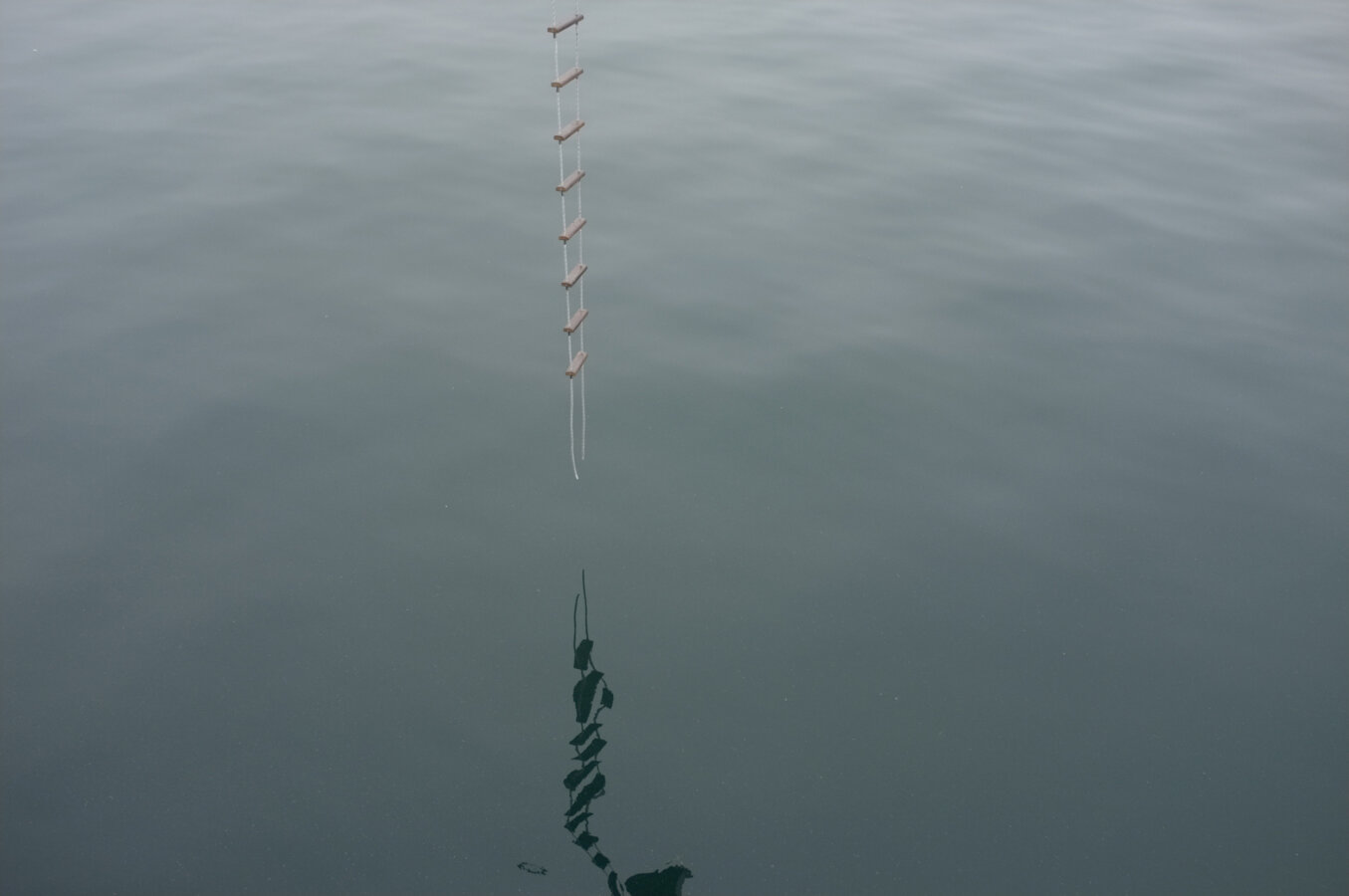 Disthanees (dead twice)